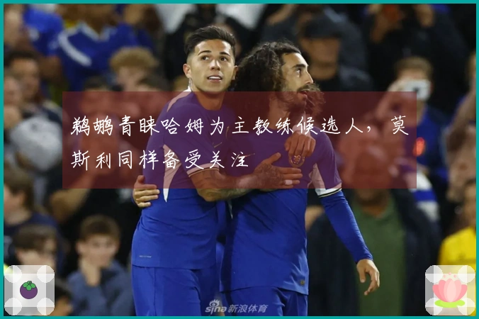 鹈鹕青睐哈姆为主教练候选人，莫斯利同样备受关注