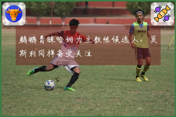 鹈鹕青睐哈姆为主教练候选人，莫斯利同样备受关注